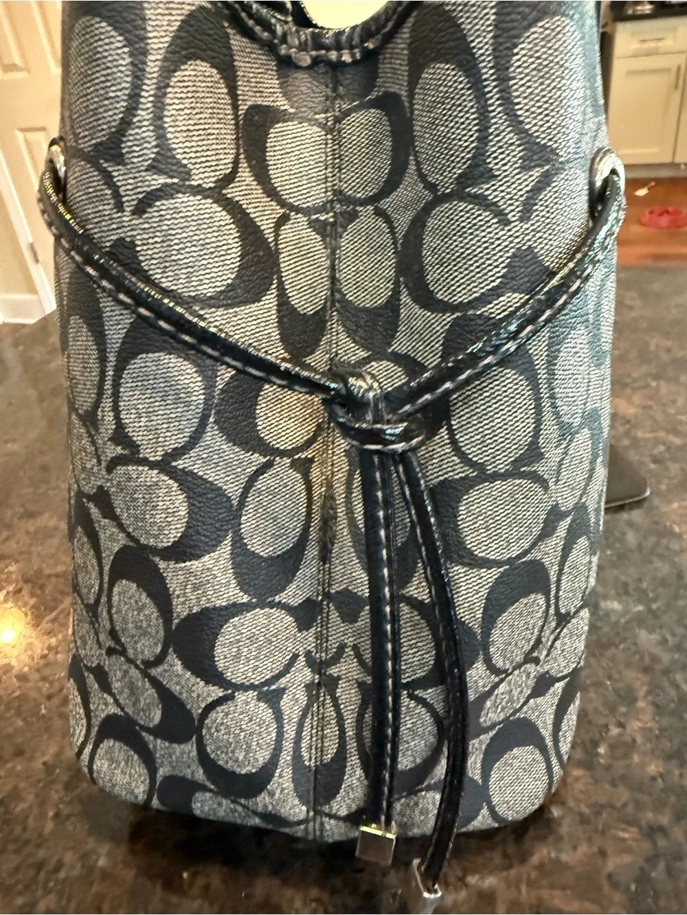 Coach Gray and Black Signature Stripe Tote